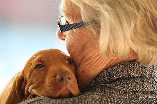 The Role of Pets in Senior Well-being